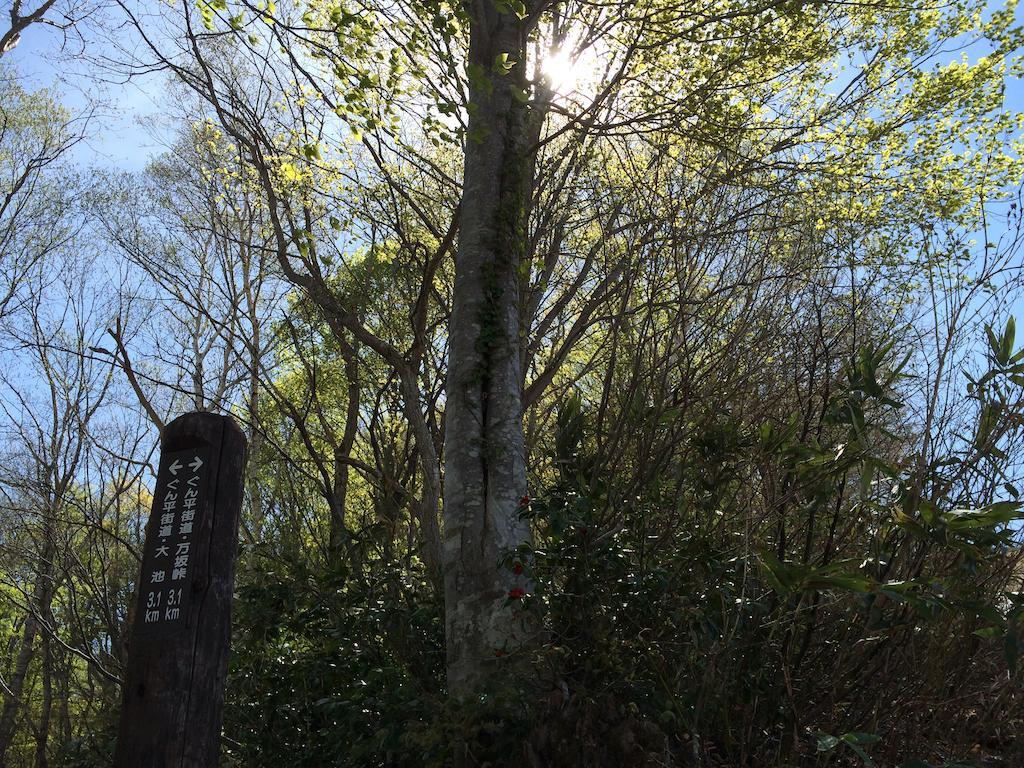 Alp Bach Madarao * Iiyama